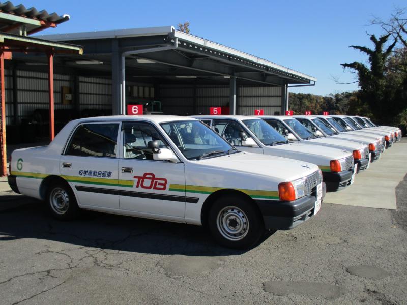 普通自動車（MT・AT限定）