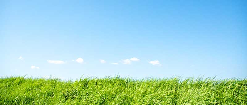 当自動車教習所の取り組み